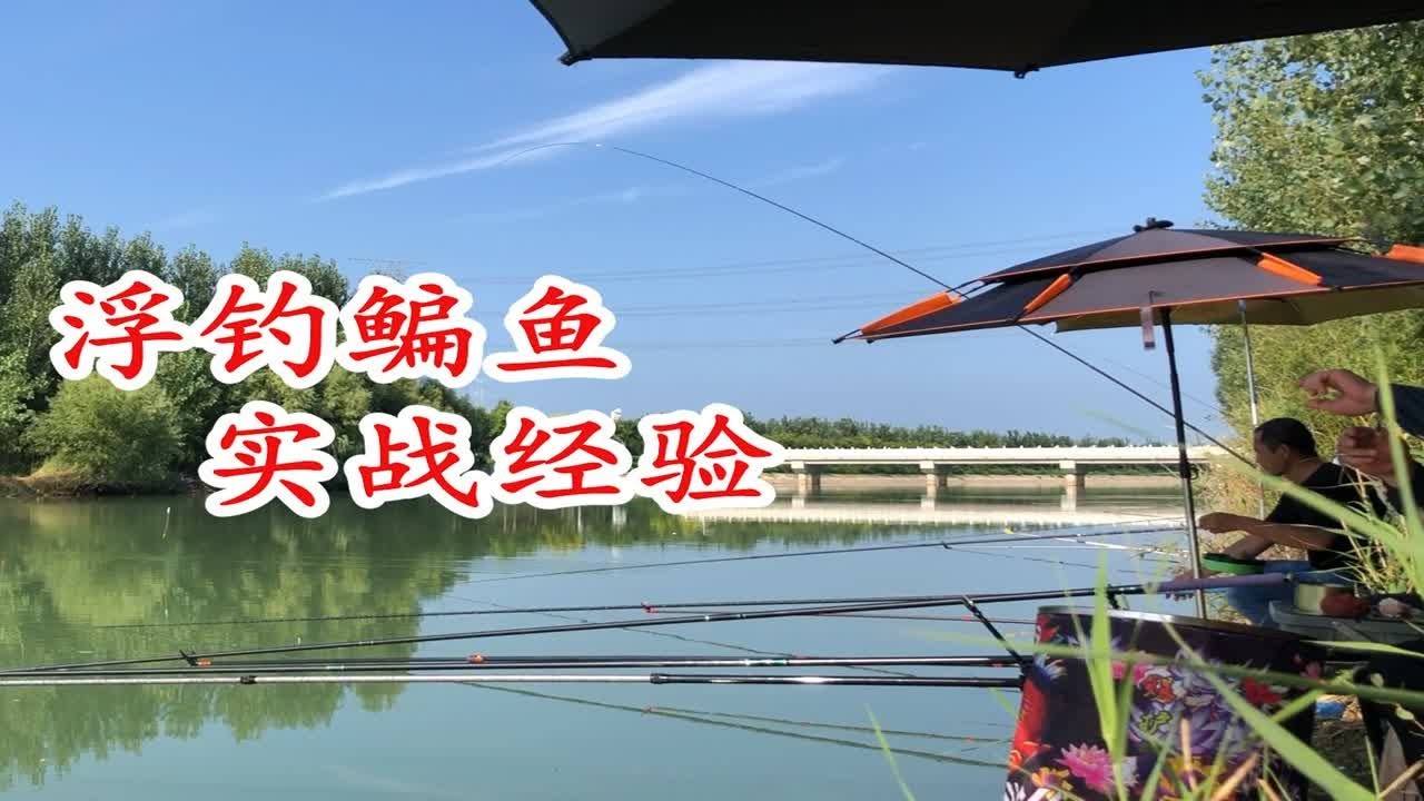 实战证明 浮钓鳊鱼 勤快的人钓的多 懒人钓的少 - YouTube