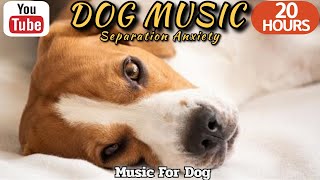 20 HOURS of Dog Calming Music🦮💖Anti Separation Anxiety Relief Music🐶🎵Relax my dog ⭐Healingmate