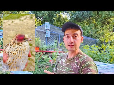 Φωτογραφίες που θα περιέχει το βιβλίο μου! Φάρμα "Η Ράχη"! 