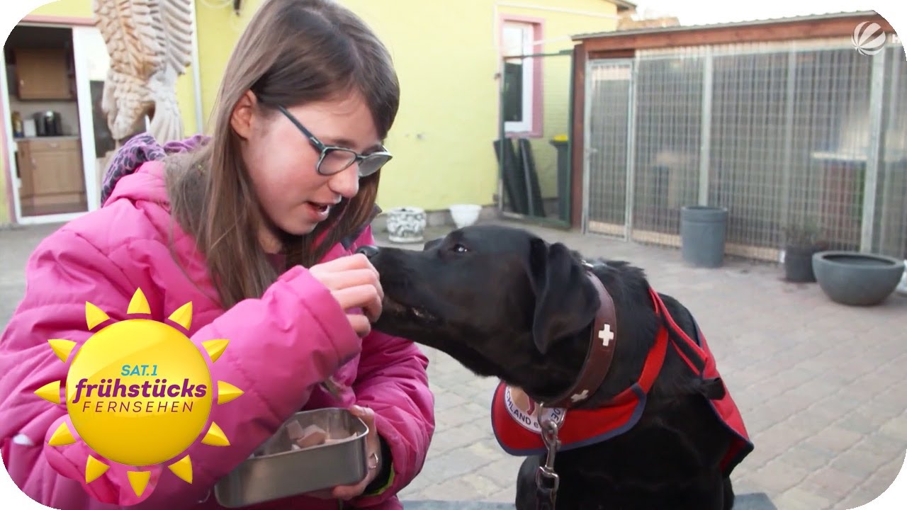 Dank Spendenaufruf: Charlotta und Assistenzhund Alva endlich vereint | SAT.1-Frühstücksfernsehen |