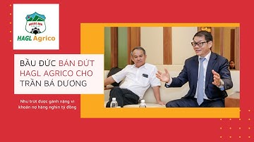 BẦU ĐỨC NÓI NHƯ TRÚT ĐƯỢC GÁNH NẶNG SAU KHI BÁN CÔNG TY HAGL AGRICO CHO TRẦN BÁ DƯƠNG