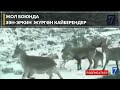 ЖОЛ БОЮНДА ЭЭН-ЭРКИН  ЖҮРГӨН КАЙБЕРЕНДЕР