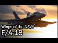 F/A-18 - Hornet for the carrier