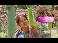 Cooking Home Growing Winter Melon and Purple Yum Soup with Fish Soup Recipe