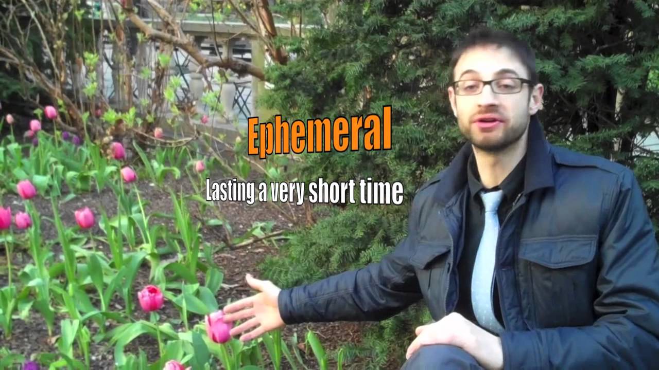How to use EPHEMERAL in a sentence - YouTube