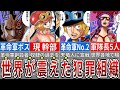 まさにチート級！世界を震撼させるほど強大な組織 "革命軍" の全貌