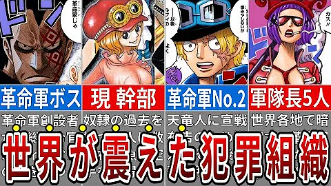 ワンピース革命軍考察