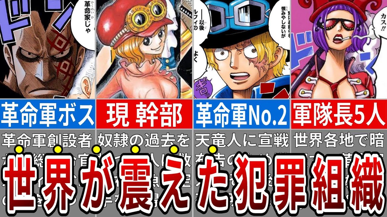 まさにチート級！世界を震撼させるほど強大な組織 "革命軍" の全貌