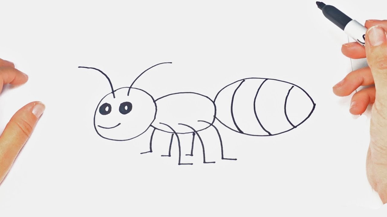 Cómo dibujar un Insecto para niños | Dibujo de Insecto paso a paso - thptnganamst.edu.vn