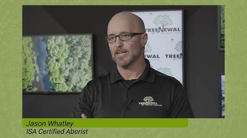 ISA Certified Arborist with Passion for Education and Tree Care 🪴 Introducing Jason Whatley