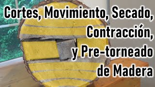 Procesamiento de madera para tornear cuencos Parte 1