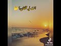 قلبي حبك جدا