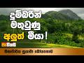 pathikada|eng