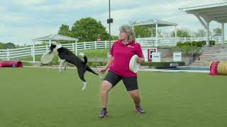 Meet Purina Farms Trainer Gail by Purina Farms 72 views 2 years ago 1 minute, 15 seconds