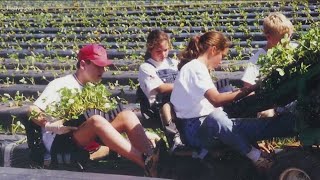 Washington Farms to end growing strawberries at local farm locations