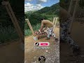 Avec 2 Parpaings, Il Fabrique Un Range-Bûches Incroyable 😱