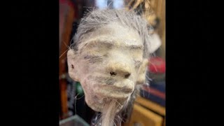 Shrunken Head Found @ Flea NYC Flea Market..is it real?