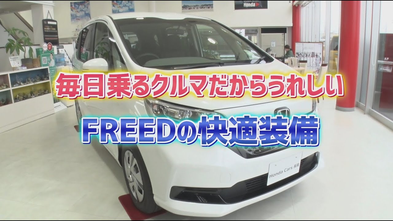 コンパクトなのに広くて快適？「フリード」をチェックしてみます🚘✨まるドラ！💨💨