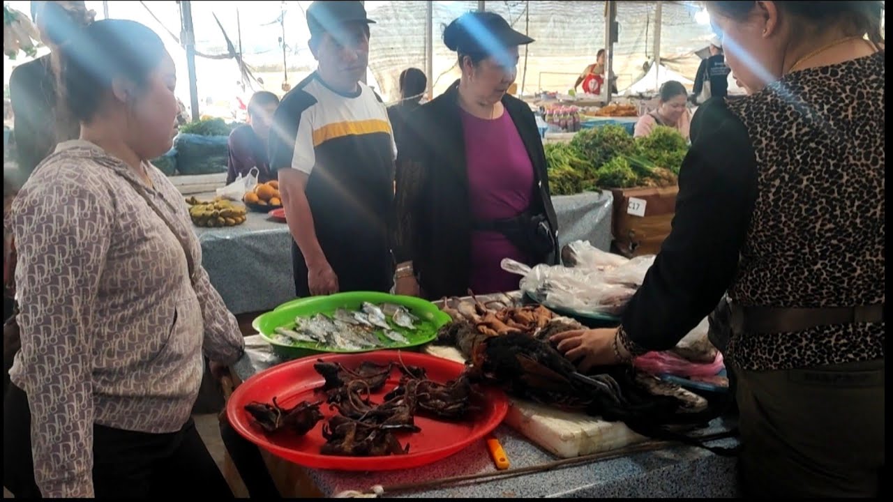 yawg tsab kim peb ncig tab laj yuav qaib qus mus ua hmo.25/2/2026