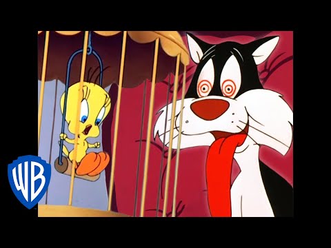 Looney Tuesdays | Tweety and Sylvester's Adventures | Looney Tunes | WB Kids