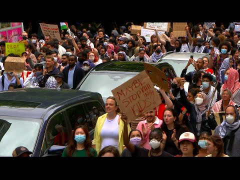 Pro-Palestinian Demonstrators Protest Near Met Gala