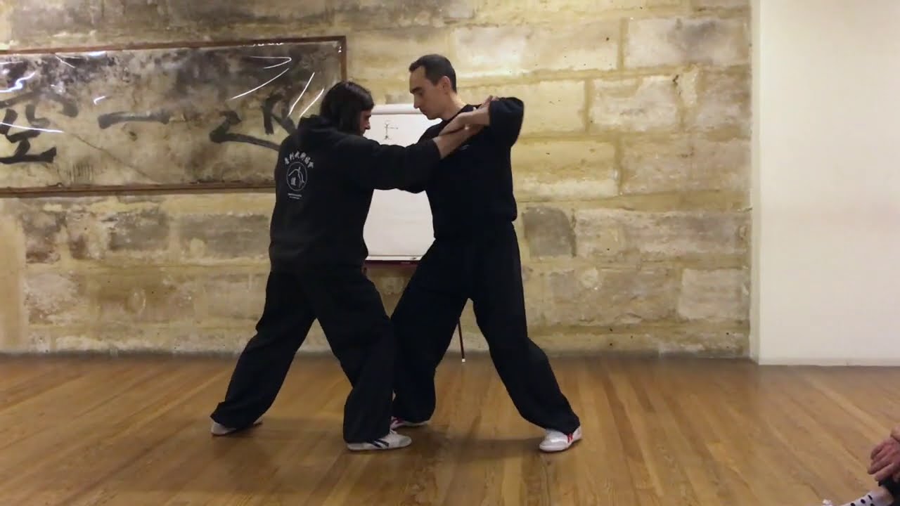 Tuishou, Pascal Plée, extraits de stage 2