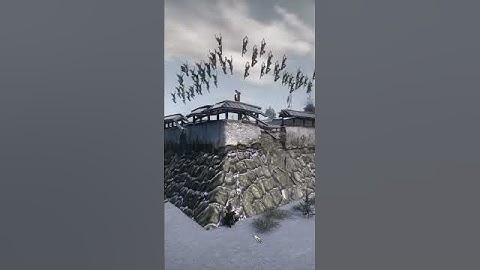 Guns in Shogun 2 be like: