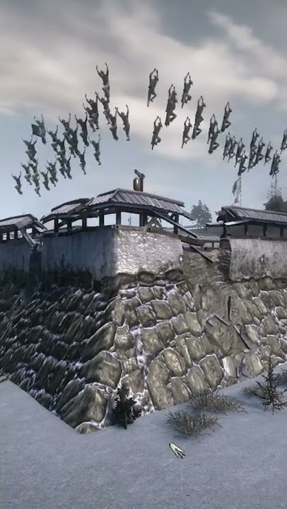 Guns in Shogun 2 be like: