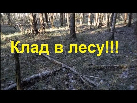 Клад в лесу!!!