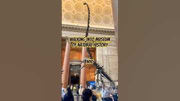 Walking into American Museum of Natural History NYC #newyorkcityattractions #nyc