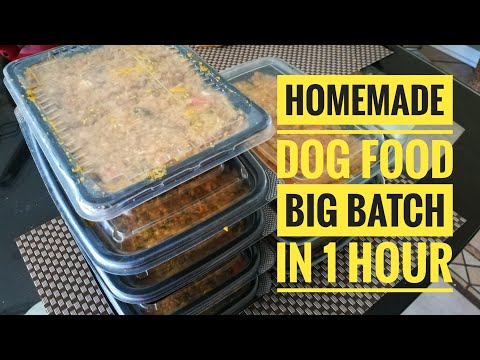 homemade-dog-food-recipe---vet-approved-(2020)