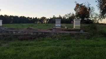 Homemade Robbing Screen Update