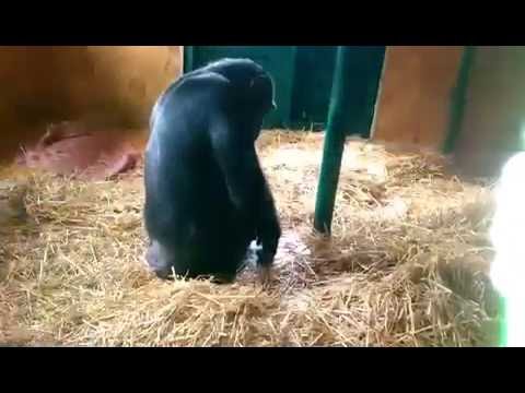 Соня рисует картину маслом:)
