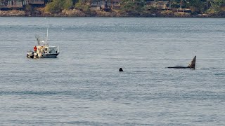 Anacortes to Friday Harbor San Juan Island Sept 2024
