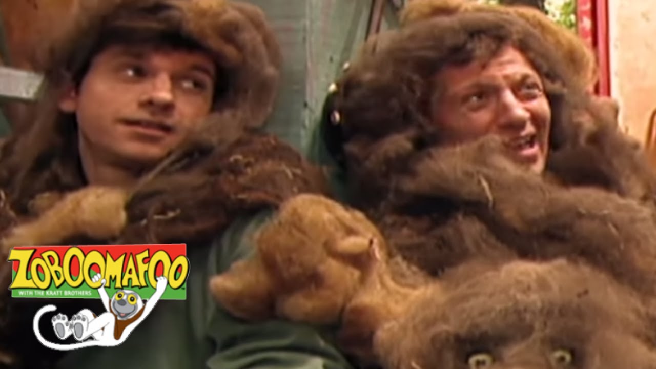 Zoboomafoo 138 - The four F's HD Full EpisodeCreature coats are the ke...