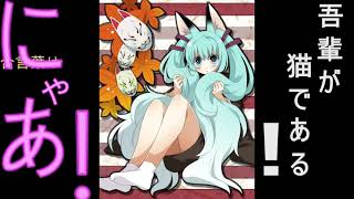 吾輩が猫である！