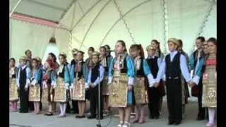 TVArad15august2010c.avi