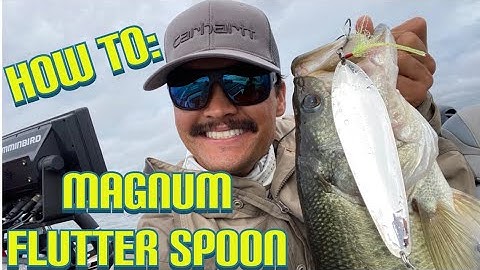 How to Flutter Spoon