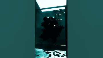 An Echo, Despondent || Generative Audio-Visual Ambience (Excerpt)