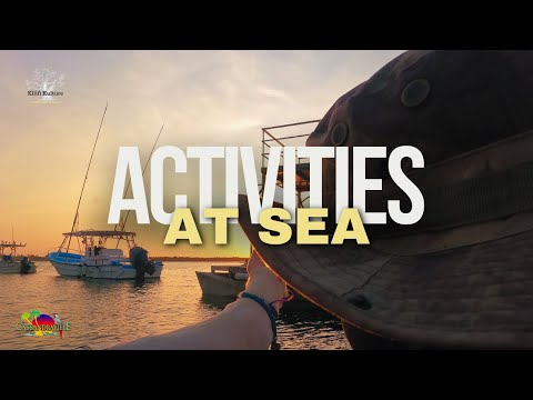 Movie Watching at Sea