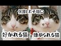 【野良猫保護】初めて子猫を保護したら、子猫に優しい先輩猫とそうじゃない先輩猫に別れました…　PART2