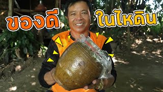 Cooking Easy Steamed Pickled Fish with Banana Blossom