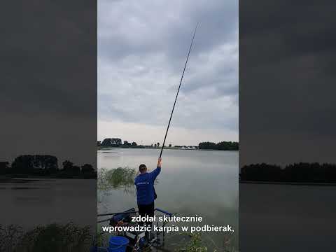 Karp, cienka guma i za krótkie ręce
