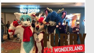 Cupid the Deer: Furry Wonderland
