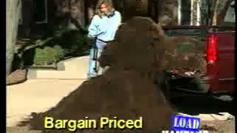 Loadhandler Pickup Truck Unloader  Heavy Duty Full Size Professional Model, 3000 Lb  Capacity, Mode