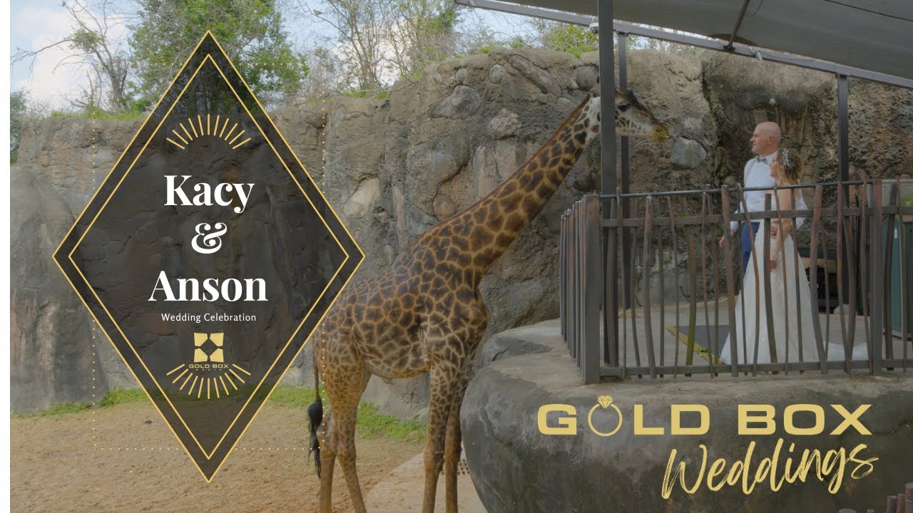 Kacy & Anson's Enchanting Wedding at the Houston Zoo | A Love Story Unleashed