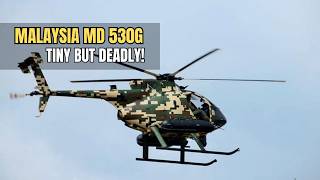 Malaysia MD 530G Defender: Small Bird, Lethal Firepower!