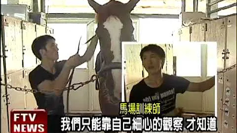 养马费用高 顾马比顾人还难－民视新闻 - 天天要闻