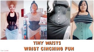 3 Highly Recommended Corsets for Waist training ❤️ #corsets #stealthing  #corsetbelt #waisttraining 