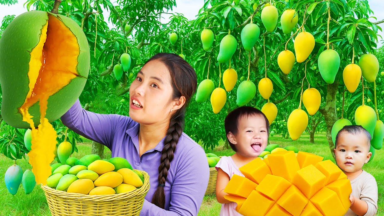 Harvest mangoes and watermelons to sell at the market, catch fish and cook fish porridge